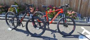VTT CLASSIQUE HAIBIKE OU VERTIGO